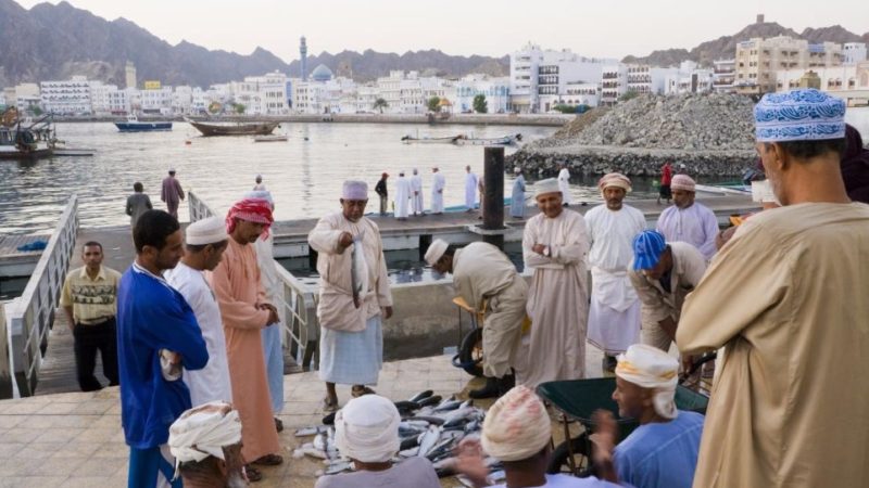 كم يبلغ معدل البطالة في عمان