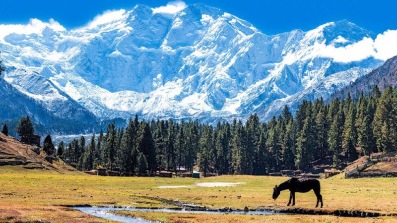 أعلى الجبال في دولة باكستان
