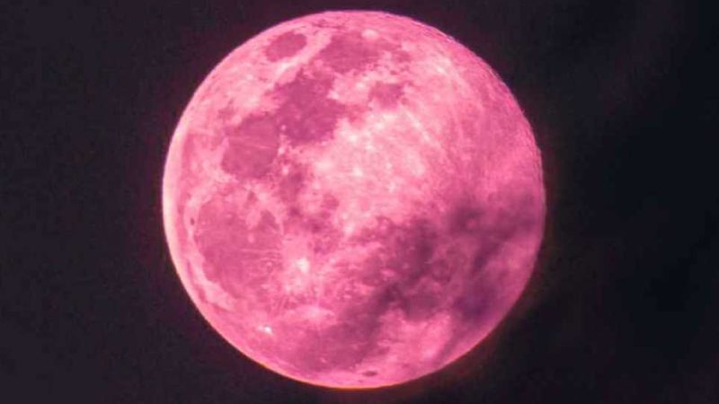 ما هو القمر الوردي