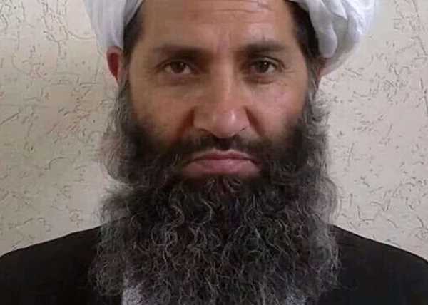 من هو زعيم حركة طالبان