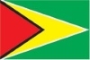 علم دولة غيانا
